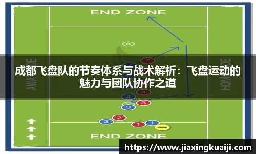 成都飞盘队的节奏体系与战术解析：飞盘运动的魅力与团队协作之道